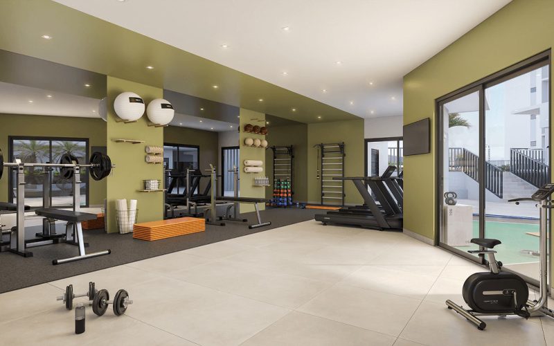 Lumme academia lumme