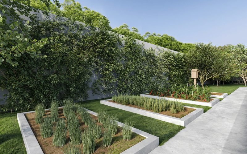 Lumme horta e pomar lumme