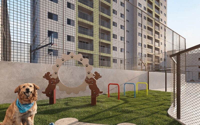 Lumme pet place lumme